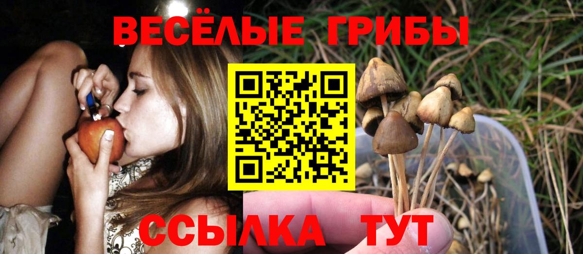 Псилоцибиновые грибы прущие грибы Владивосток